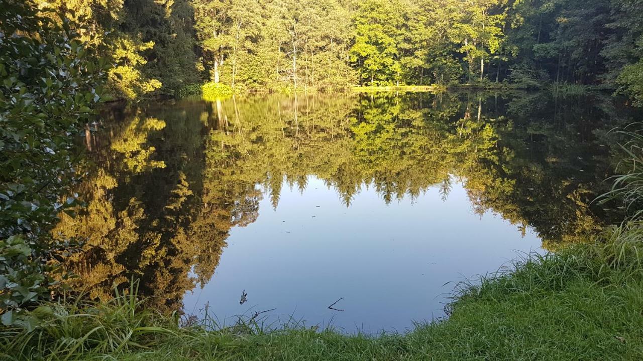 Apartmán U kolonády Mariánské Lázně Exterior foto